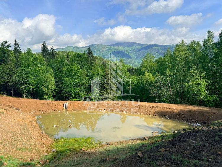 Oportunitate! Domeniu montan, cu lac propriu, oras Lupeni, Hunedoara - 2