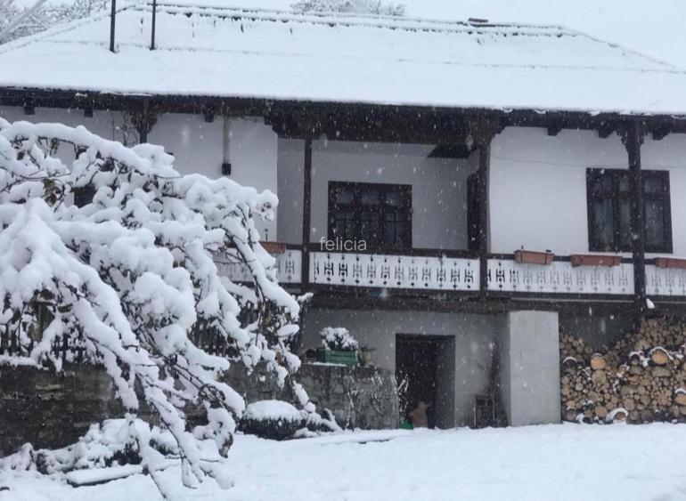 Casă de Vacanță Pensiune și 20.000 mp Teren Hangu Neamț - 15