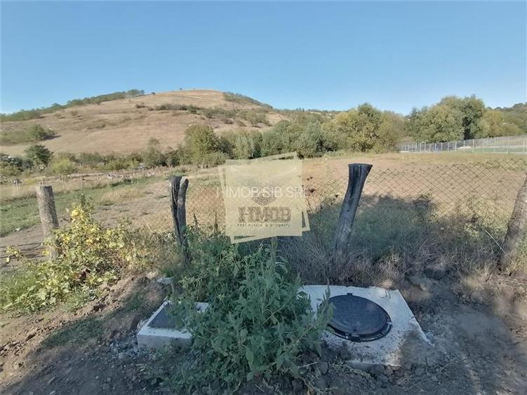Teren intravilan 3500 mp zona Hamba - 8