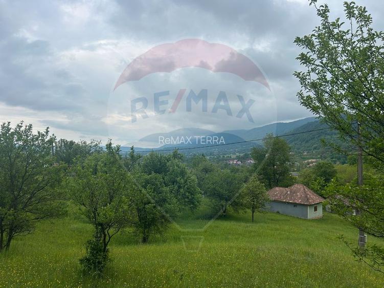 Teren 2,000mp Copalnic-Manastur / Strada Principala - 6