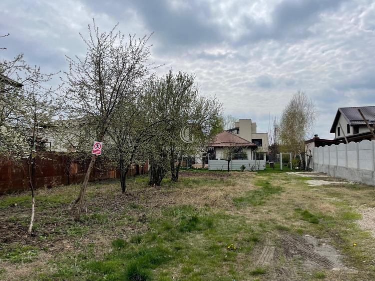 Vanzare Teren intravilan  Berceni
