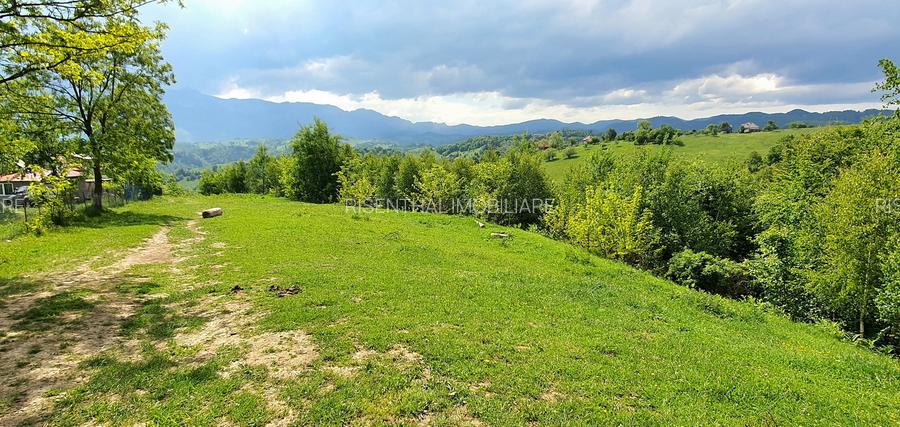 Teren pentru casa de vacanta , Pestera , Brasov - 9