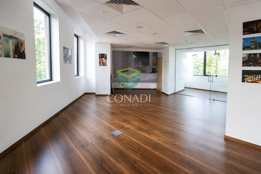 Kiseleff area,  office space for rent , 160 sqm - 3