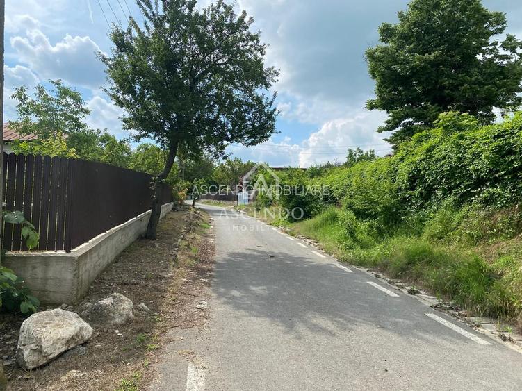 Domeniu 15.900 mp în Fințești | Casă + Investiție Dealu Mare - 23