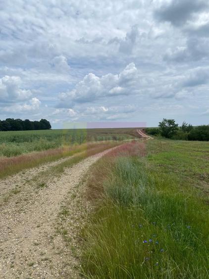 Teren 6,26 ha lângă DEx12 Pitești