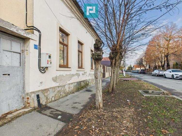 Casă individuală cu anexă în Vaicu