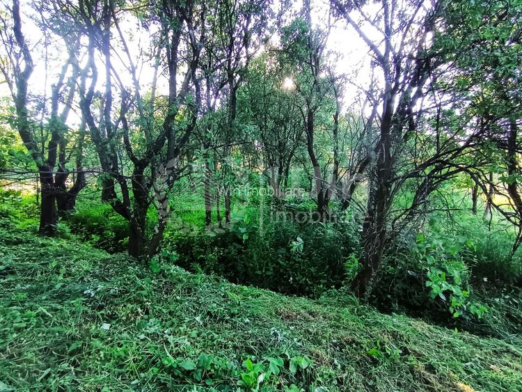 Teren intravilan 1340mp ideal pentru casa in Sat Gheorghieni! - 2