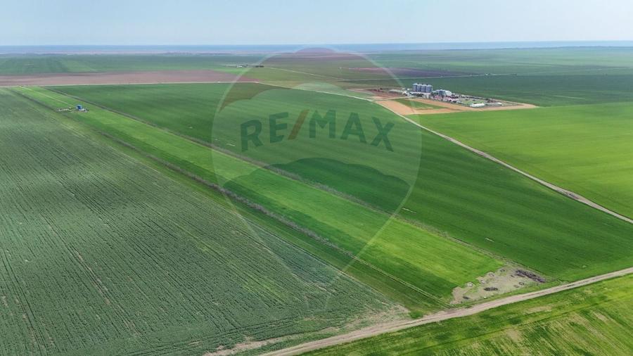 Teren de vanzare in Săcele ideal pentru silozuri, fermă 6 ha