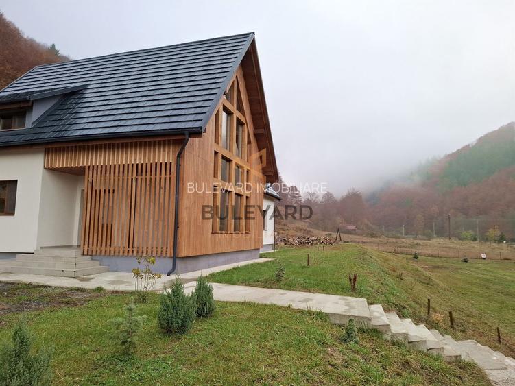 Proprietate cu potențial turistic în zona montană a Țării Lăpușului - 5
