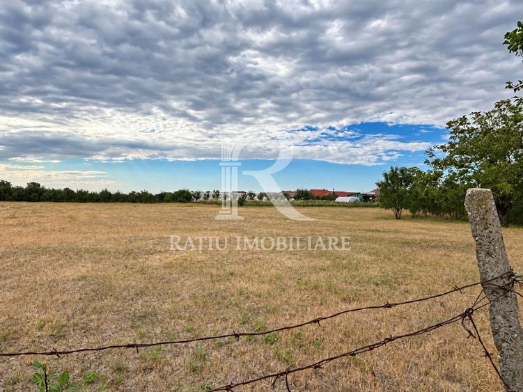 Casa demolabila | Teren 2800 mp | Avram Iancu | Bihor