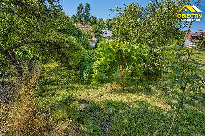 Casa P+E, 222 mp construiti, teren 1.078 mp, Borlesti, jud. Neamt