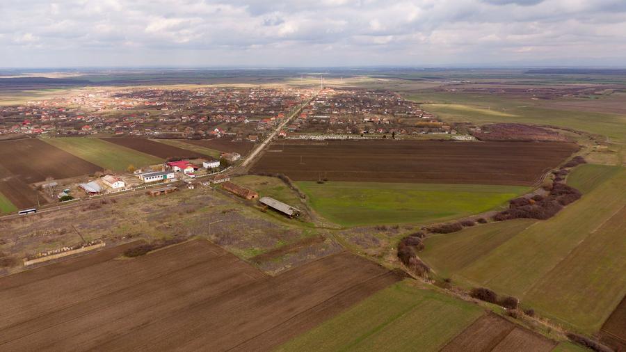 Fermă cu teren intravilan de 35000 mp în Mișca