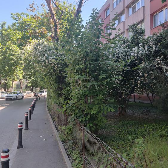 Apartament 4 camere Teius, Rahova etaj 1