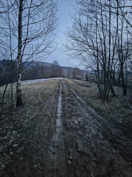 Teren extravilan 5000 mp Sinca Noua