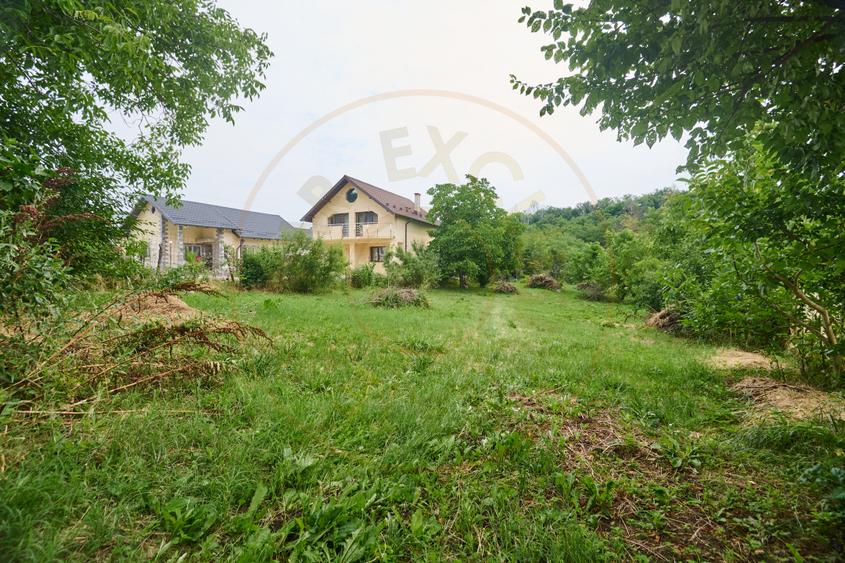 Teren 2240 mp intravilan + casa batraneasca Hintesti-Basangesti