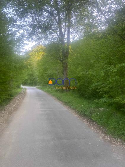 De vanzare teren intravilan 4235 mp Poiana Marului