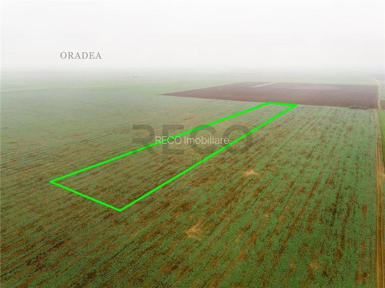 RECO Teren extravilan 5800 mp Livada de Bihor - 6