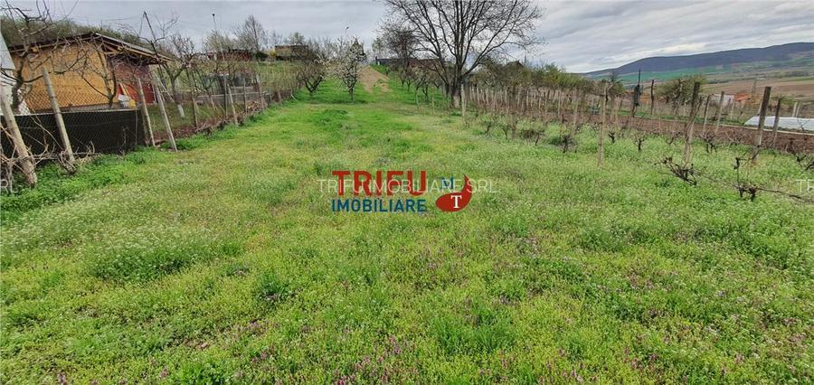 Teren de vanzare zona Micesti 1436mp - 3
