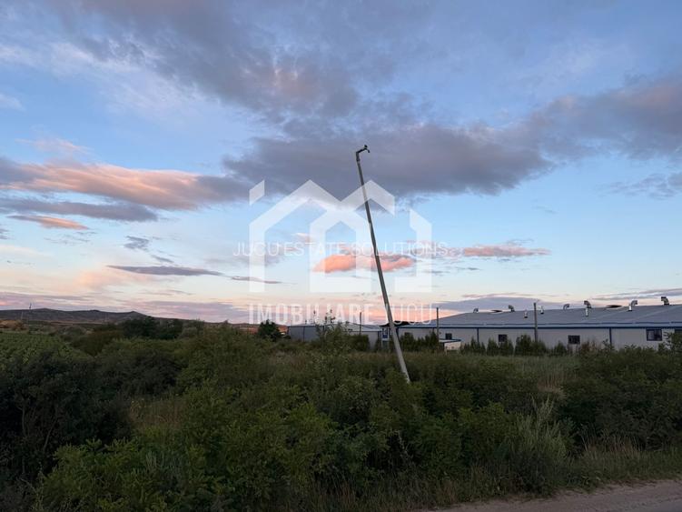 Teren – 7.194 mp | Răscruci – Zona Tetarom - 4