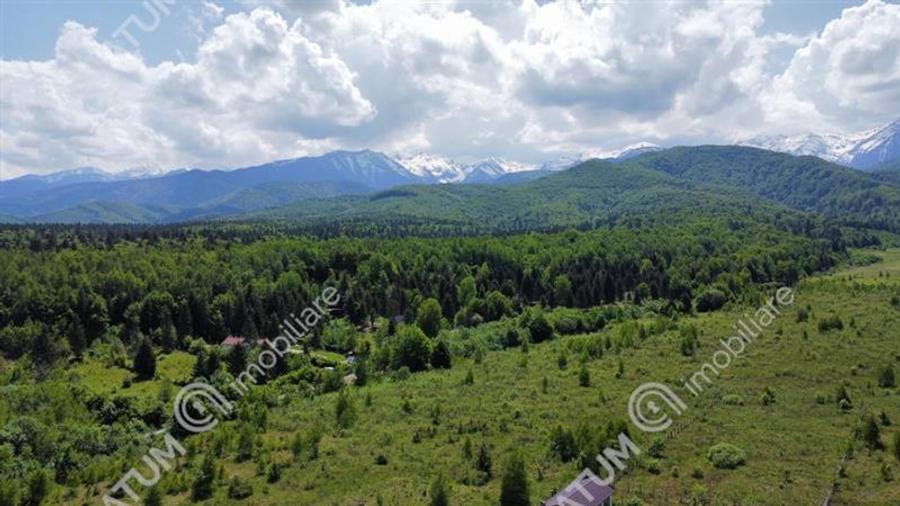 Teren intravilan de vanzare in Avrig zona Valea Avrigului