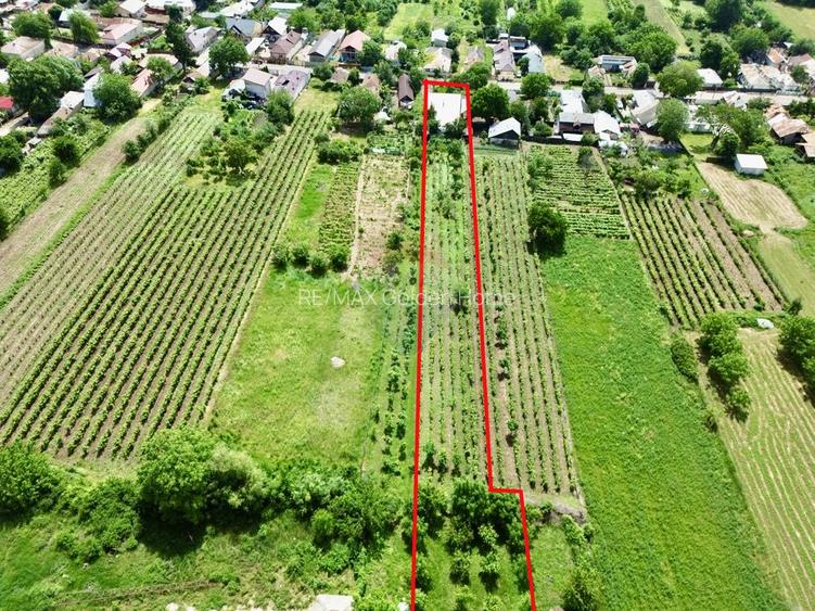 Casă cu teren si demisol In Tifesti - 24
