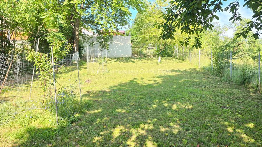 Vand casa in Deva, zona Crangului (Olarilor), D+ P+M, mobilata, utilata - 2