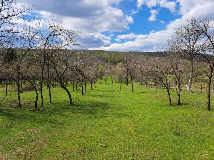 Teren între livezi și pădure, Vălcănești-7500 mp,ideal pentru refugiu în natura