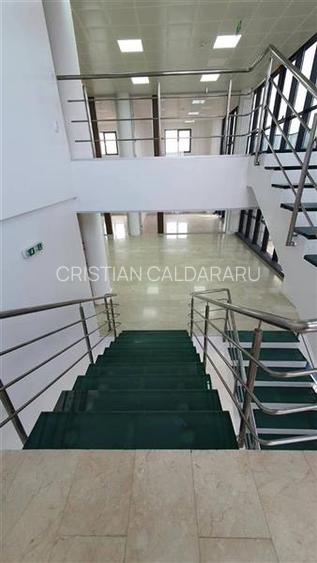 Inchiriere depozit/hala/spatiu industrial/showroom Afumati - Doraly - DN2, ILFOV - 21