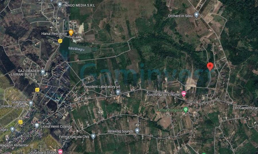 Teren intravilan de vanzare, la 1 min de str Gheorghe Doja, Saldabagiu de Munte