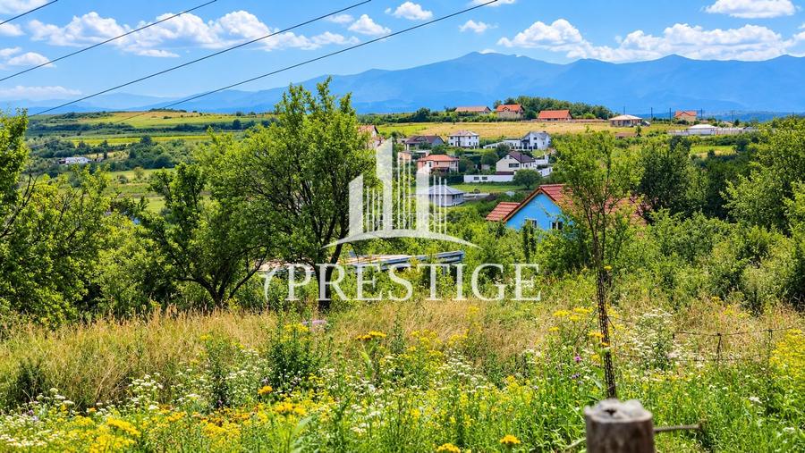 TEREN INTRAVILAN DE VÂNZARE | DAIA NOUĂ | 960 MP | PENTRU CASĂ - 9
