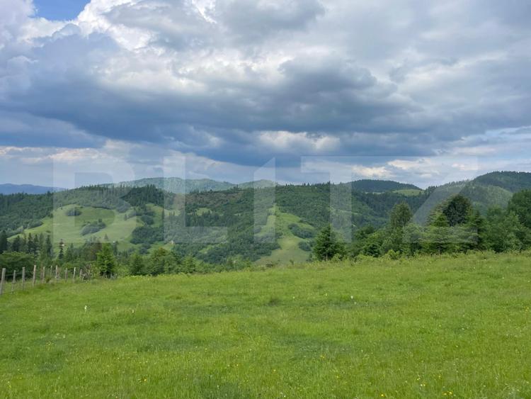 Teren extravilan de vanzare, 2 ha - Campulung Moldovenesc, zona Sandru