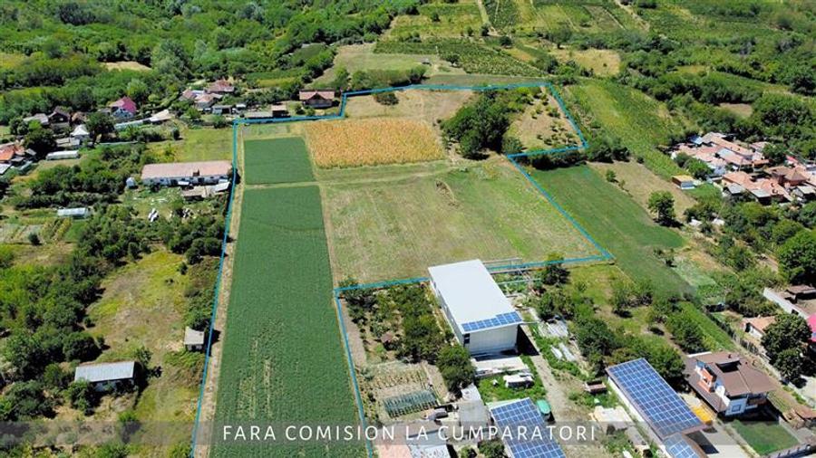OPORTUNITATE UNICA IN DOMENIUL VITICOL