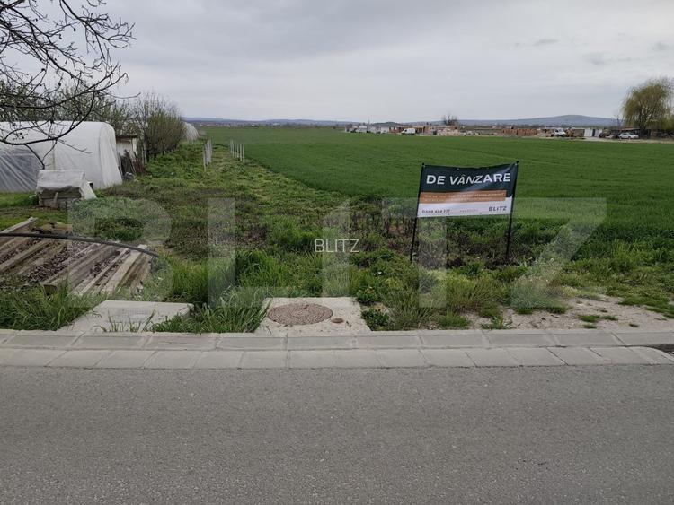 Teren 8600 mp în Podgoria - 4