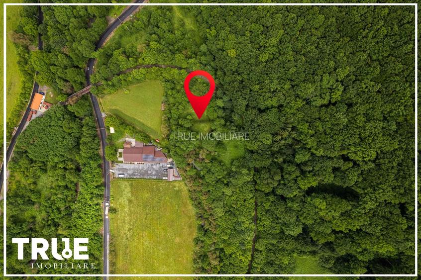 Teren intravilan 2.800 m² în Câmpu Cetății – liniște și natură - 8