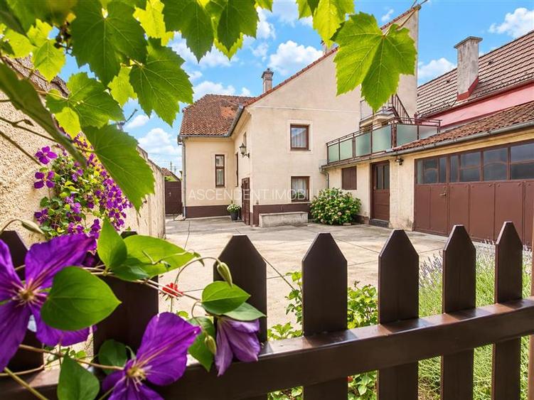 Poveste saseasca la umbra vitei de vie,cu crama,gradina flori,Central,Codlea
