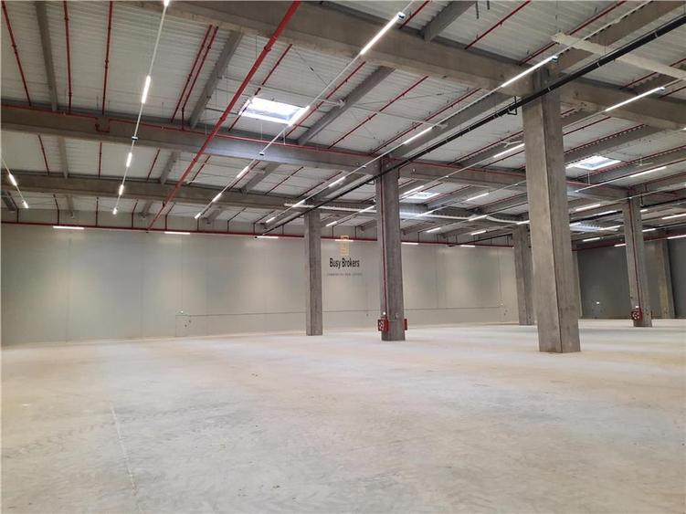 Spatiu Industrial - 5000 mp - Logistica - Productie - Depozitare - Distributie
