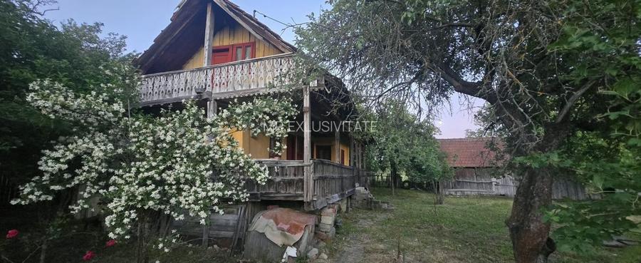 Casă cu 7.769 mp teren și pădure | Budieni | 53.000€ - 12