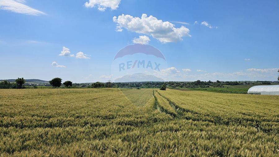 Teren 15,000mp Salcea-Prelipca, Suceava