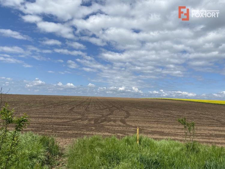 Teren Agricol | Opurtunitate investitie | Sananadrei - ID V713