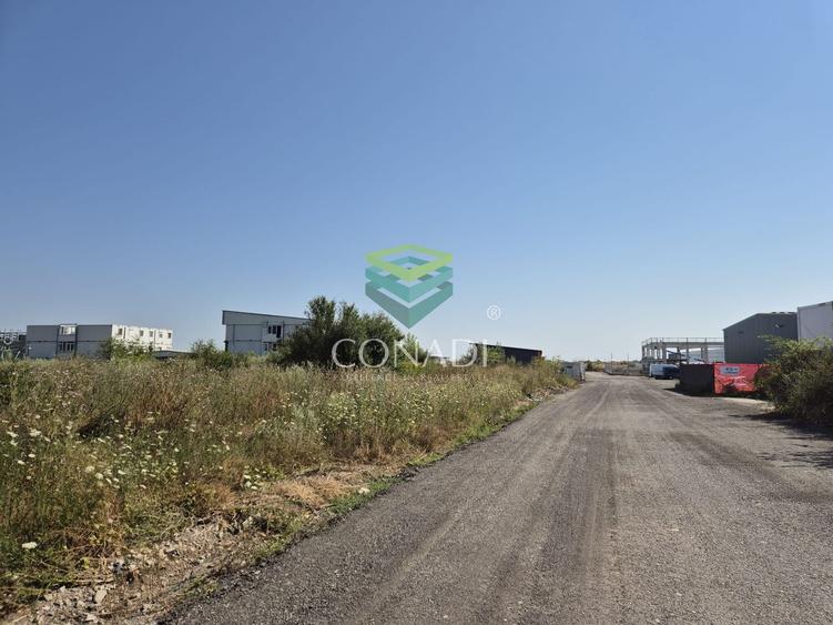 Teren de vanzare cu autorizatie pentru 2 hale - Otopeni - 10.000 mp