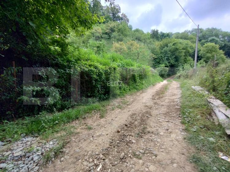Cabana 3 cam,2 nivele 100 mp+teren extravilan 2,5 ha+1 ha padure, langa Nasaud - 12