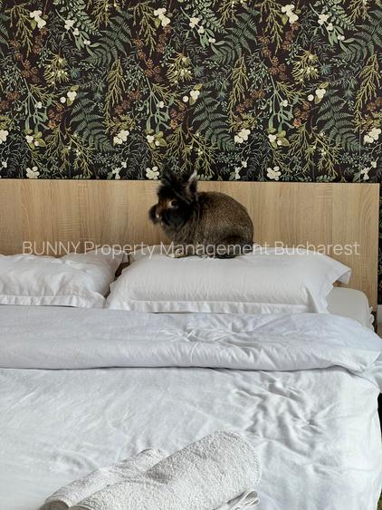 Unirii / Calea Victoriei: Sleek Large Apartment – 105 m² SU | AN541-11F - 3