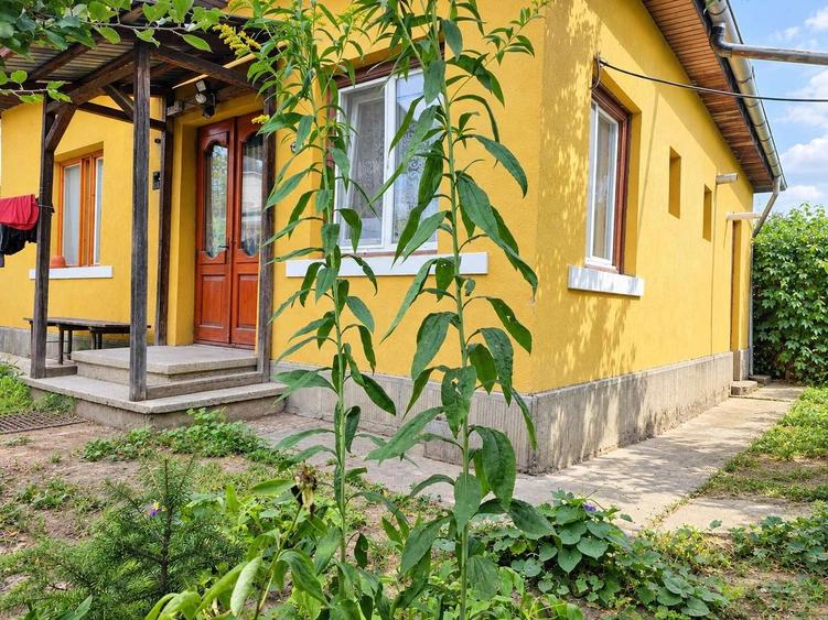 CASĂ DE VÂNZARE ÎN ZONA CENTRALĂ IAȘI, 311 MP TEREN, SĂRĂRIE – TG. CUCU, POTENȚIAL EXCELENT DE RECONFIGURARE