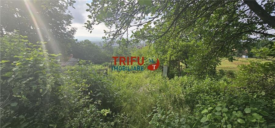 Teren intravilan construibil 766mp Cetate zona Schit