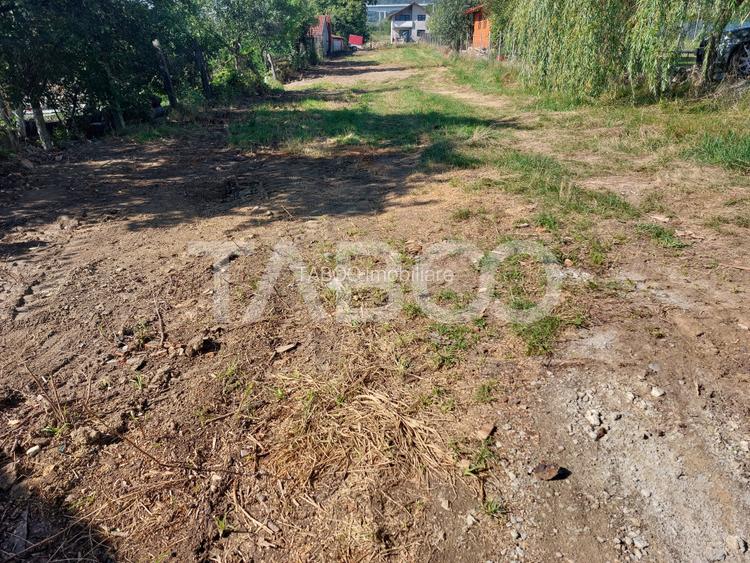 Teren intravilan 812 mp PUZ aprobat utilitati pe teren Talmaciu - 6