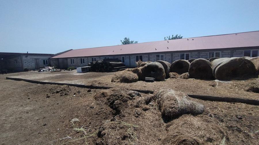 Fermă colectare și îngrașare animale judet Constanta