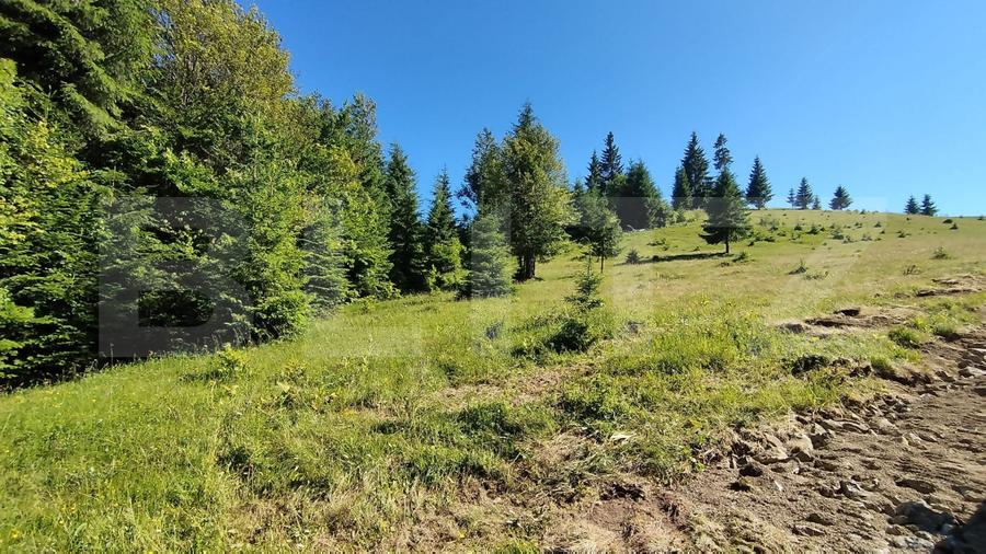 Teren de vânzare la Tihuța – Locație turistică, ideal pentru investiție