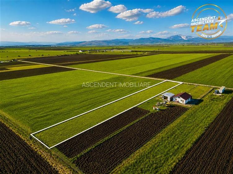 Liniste si aer curat in proximitatea Municipiului Sfantu Gheorghe - 15