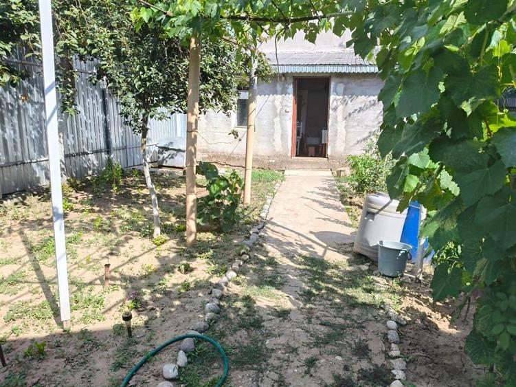 Casa 4 camere, Radu Negru - Buzaului, Teren - 264 mp