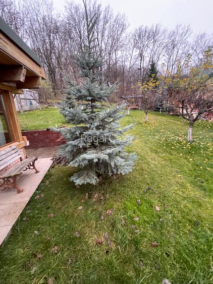 Cabana zona Copou - sos. Ștefan cel Mare - 10